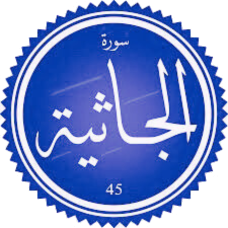 اختبار سورة الجاثية