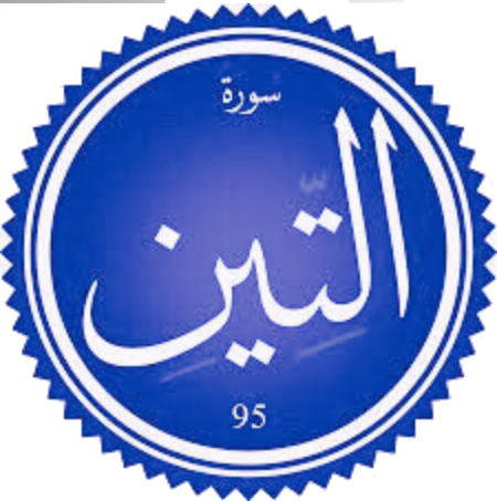 اختبار سورة التين